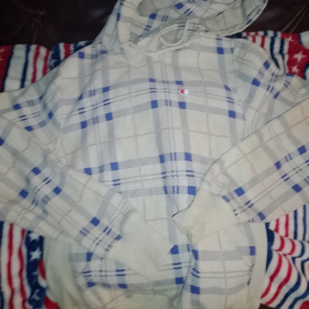 Men's small/boys large pull over champion hoodie good condition